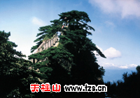 點(diǎn)擊看全圖